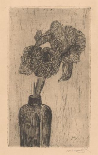 Iris in a vase