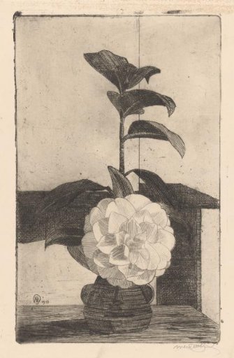 Gardenia in a pot for the mantelpiece