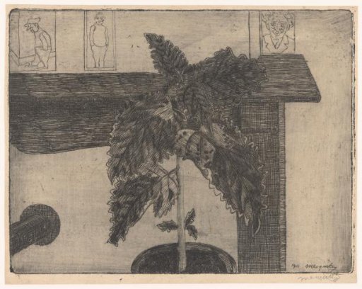 Ornamental nettle for the mantelpiece
