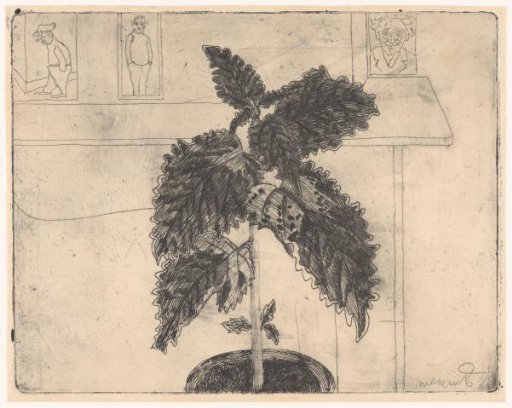 Ornamental nettle for the mantelpiece