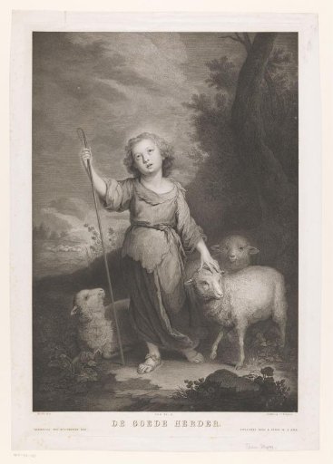 Young shepherd with lambs