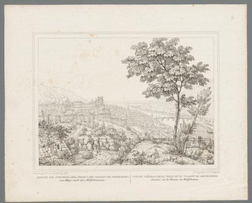 View of Heidelberg Castle and the town