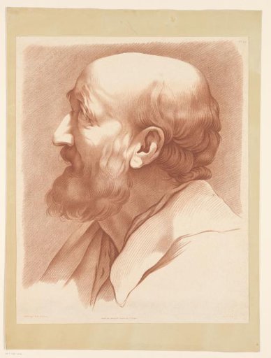 Head of a man
