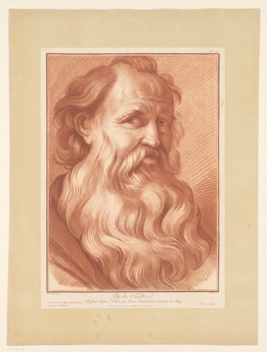 Head of a man with a beard