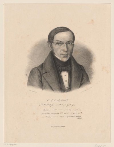 Portrait of Arnold Adolph Berthold