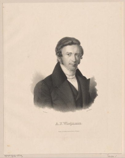 Portrait of Arend Friedrich August Wiegmann