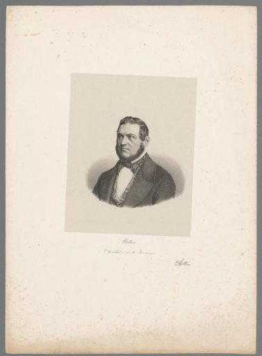 Portrait of Stettin