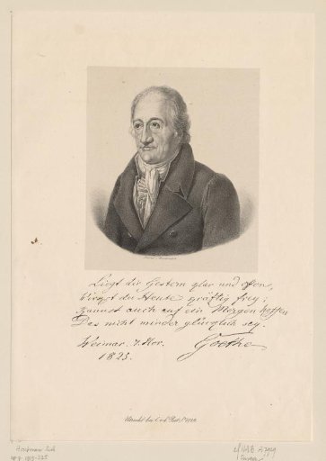 Portrait of Johann Wolfgang von Goethe