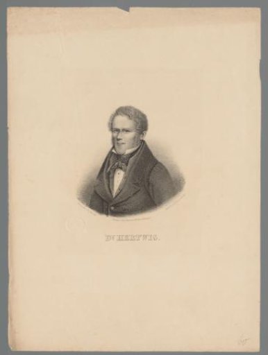 Portrait of Carl Heinrich Hertwig