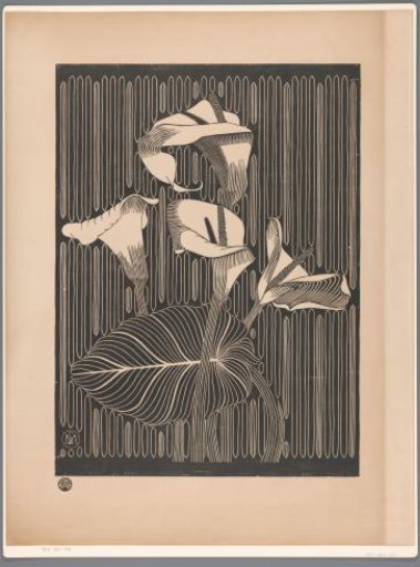 Arum Lilies