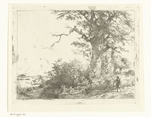 Landscape with oak trees and a man by the water