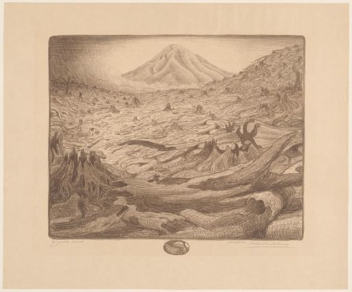 The felled forest
