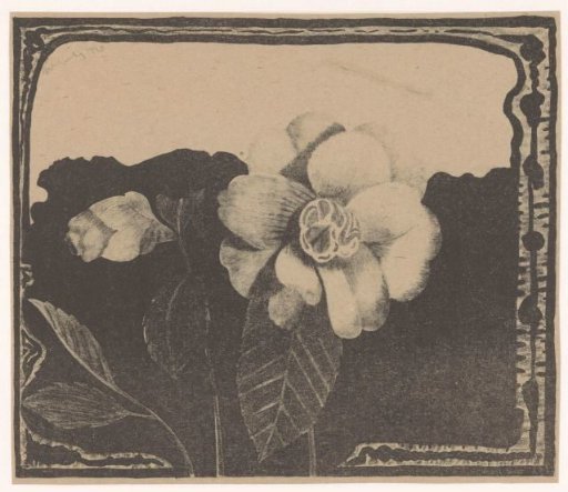 Camellia, to the left a flower in bud