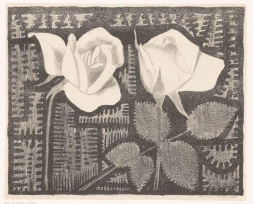 Two roses