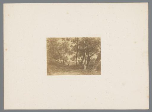 Photographic Reproduction of a Print of a Forest Landscape with a Walker after Johannes Pieter van Wisselingh
