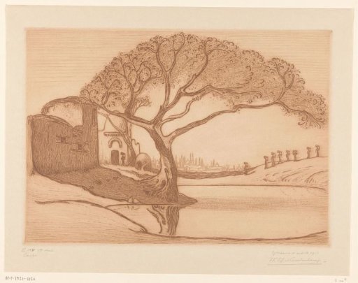 Tree by a pond near Cairo