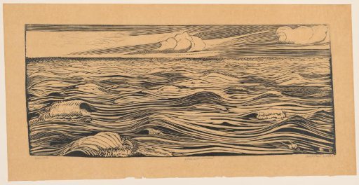 Waves in the river mouth
