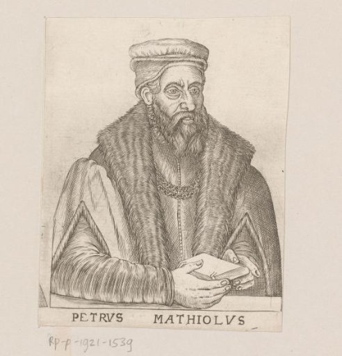 Portrait of Pietro Andrea Mattioli