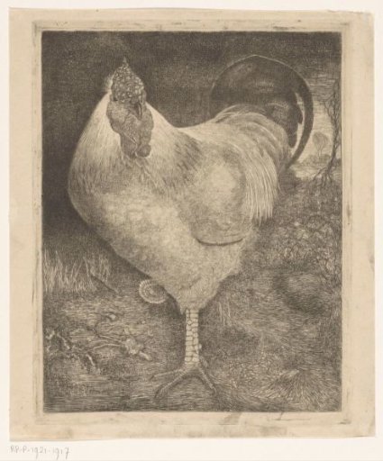 Rooster on One Leg