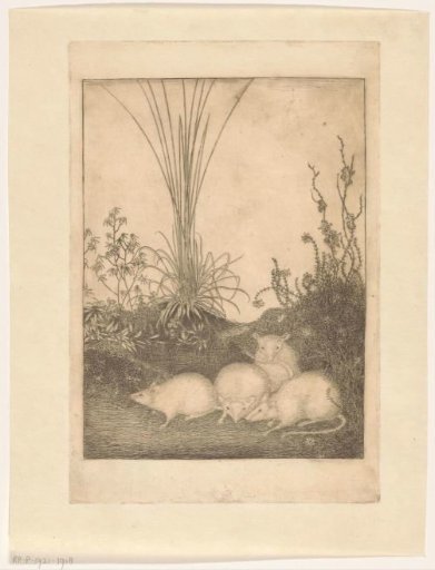 Four Mice