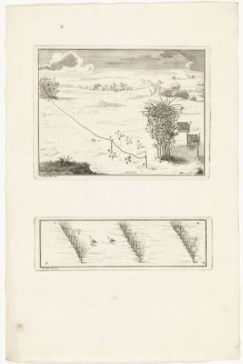 Various bird traps