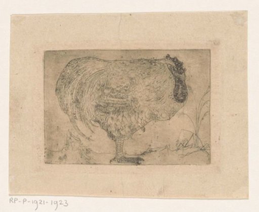 Crouching rooster