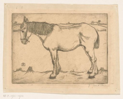 Horse