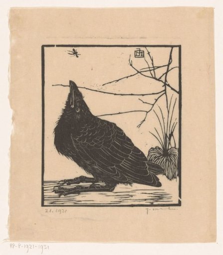 Crow, Looking Up at a Mosquito