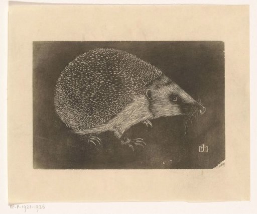 Hedgehog