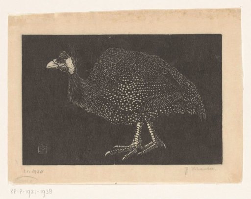Guinea Fowl