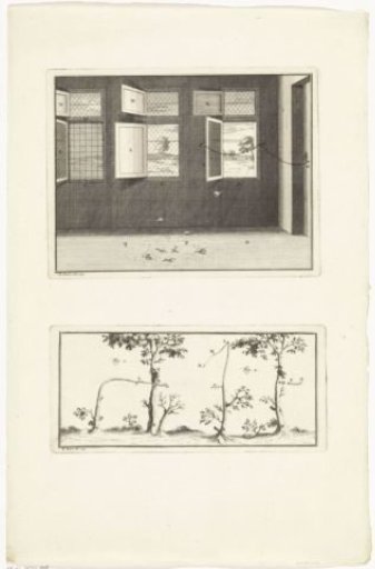Bird Traps in the House and in the Bushes