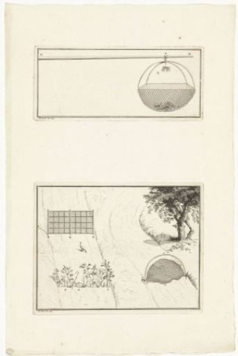 Fishing nets and bird traps