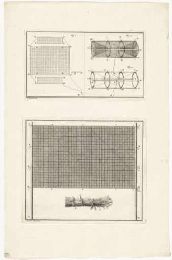 Nets and bundles of branches