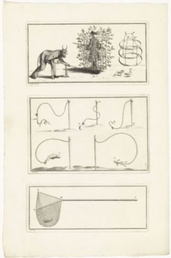 Instruments for catching birds