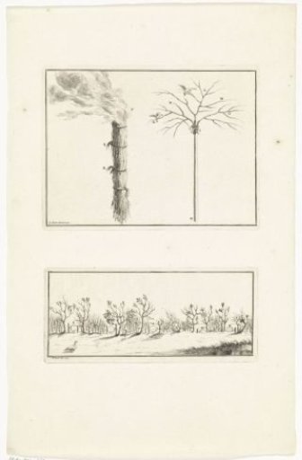 Smoldering torch and constructions for catching birds