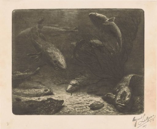 Aquarium