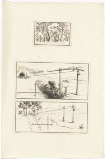 Animal Traps
