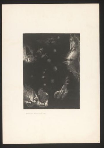 Seahorse and other deep-sea creatures