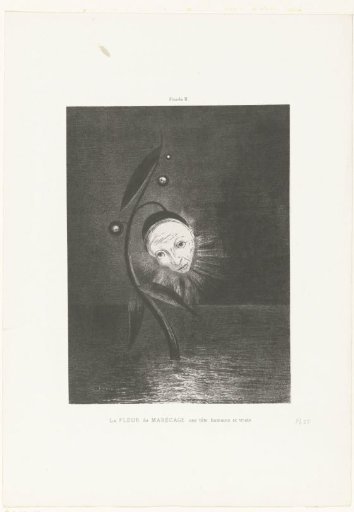 The Marsh Flower, a Human and Sad Head