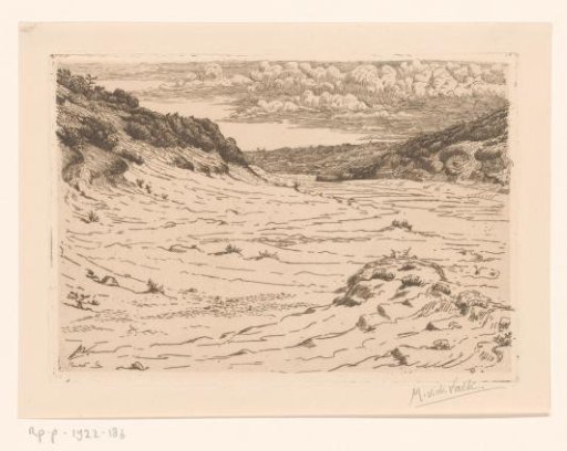 Dune landscape