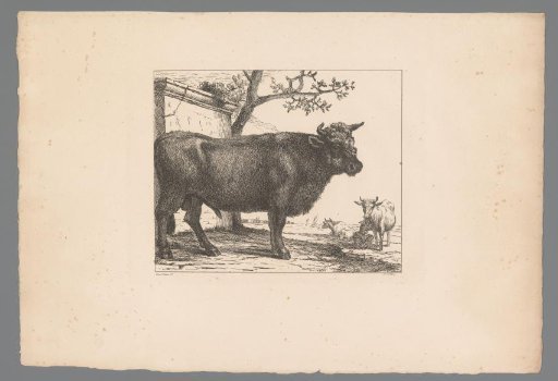 Bull and Two Cows near a Building by the Water
