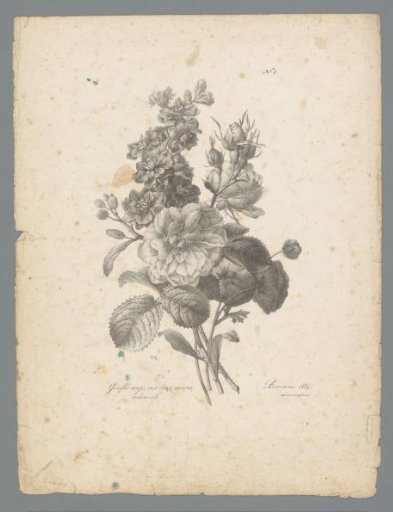 Bouquet with red carnation, Four Seasons rose and buttercup