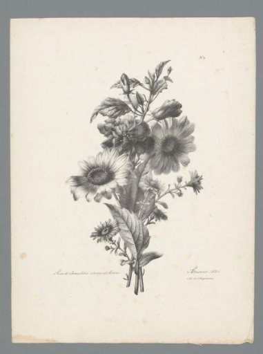 Bouquet with Chinese rose, sunflower and aster