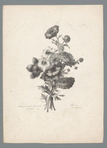 Bouquet with anemone, buttercup and narcissus
