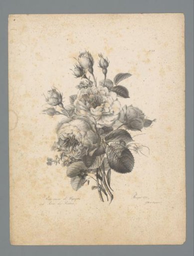 Bouquet with soft pink rose and cabbage rose