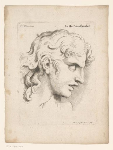 Head of a Young Man in a State of Attention