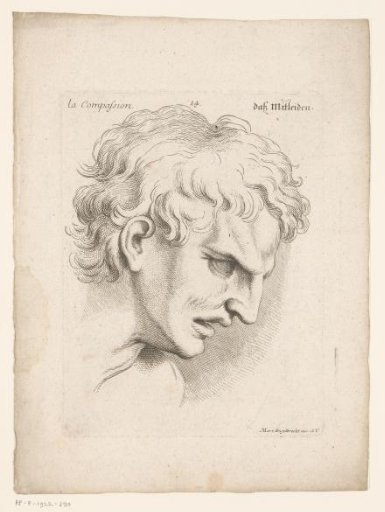 Head of a Man in a State of Pity