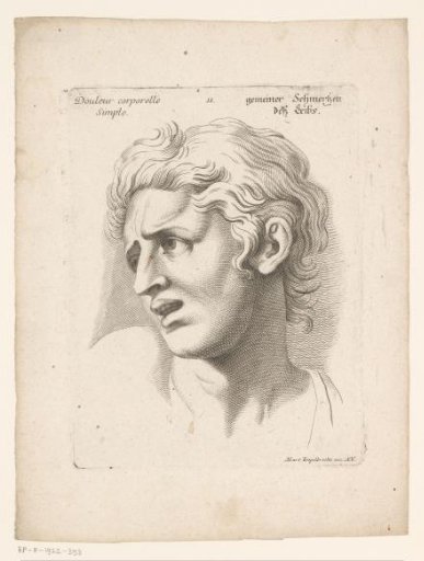 Head of a Man in a State of Pain