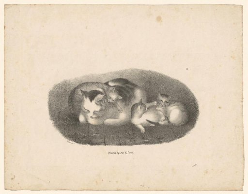 Cat with Three Kittens