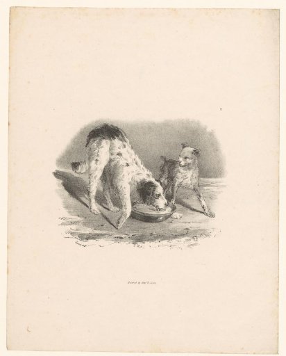 Two dogs at a drinking trough
